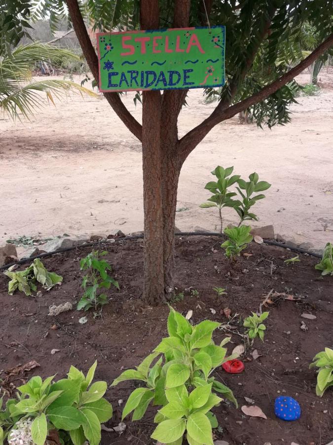 Chale Com Vista Privilegiada Pilões de Dentro Dış mekan fotoğraf